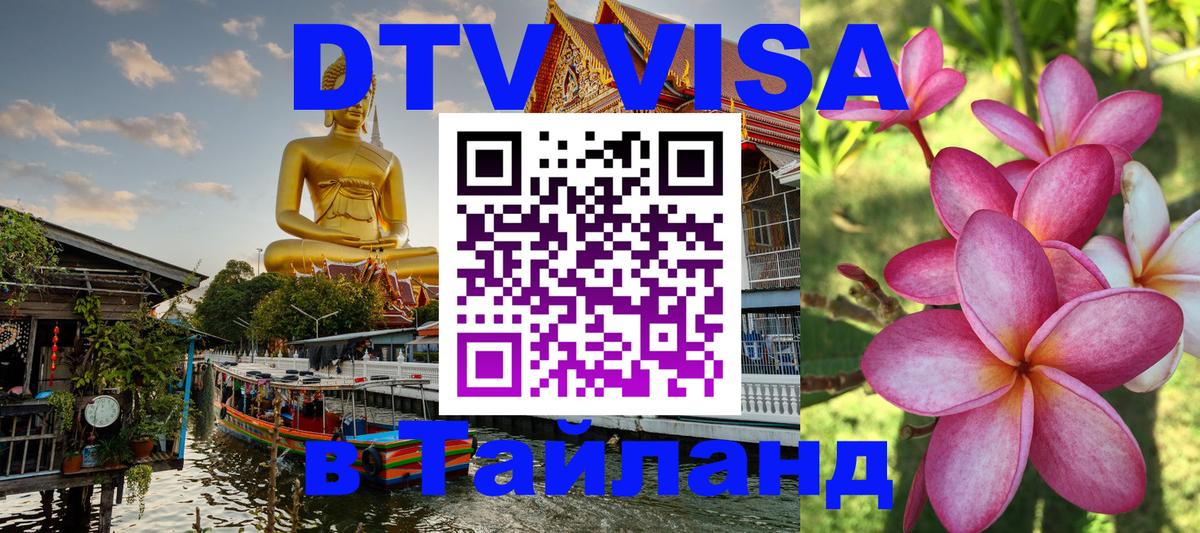 Оформление DTV визы под ключ: стоимость и тарифы, только загранпаспорт - 